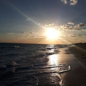 Meet your Posher, Sylvia